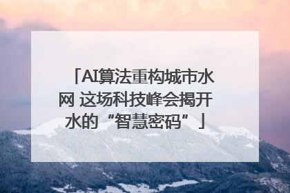 AI算法重构城市水网 这场科技峰会揭开水的“智慧密码”