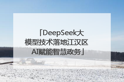 DeepSeek大模型技术落地江汉区 AI赋能智慧政务