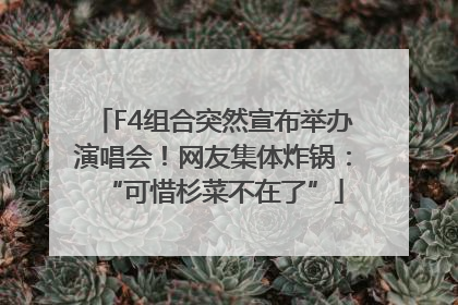 F4组合突然宣布举办演唱会！网友集体炸锅：“可惜杉菜不在了”
