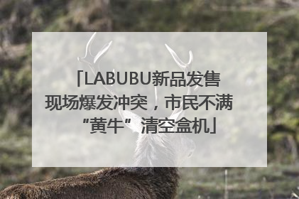 LABUBU新品发售现场爆发冲突，市民不满“黄牛”清空盒机