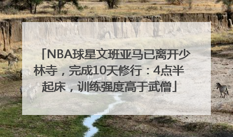 NBA球星文班亚马已离开少林寺，完成10天修行：4点半起床，训练强度高于武僧