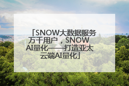 SNOW大数据服务万千用户，SNOW AI量化——打造亚太云端AI量化